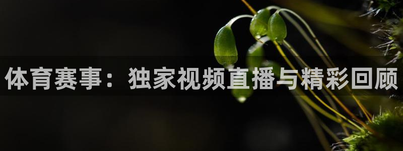 火凤体育直播在线：体育赛事：独家视频直播与精彩回顾