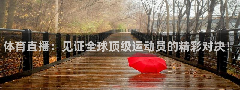 火凤直播篮球免费观看：体育直播：见证全球顶级运动员的精彩对决！