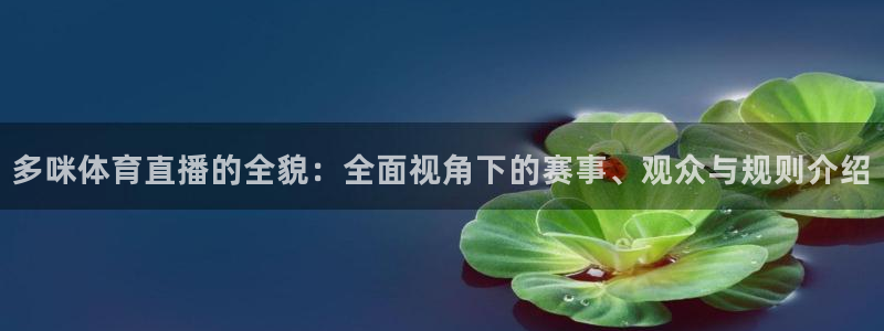 火凤直播足球：多咪体育直播的全貌：全面视角下的赛事、观众与规则介绍
