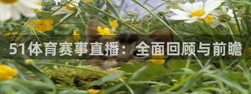 火凤体育免费直播入口：51体育赛事直播：全面回顾与前瞻