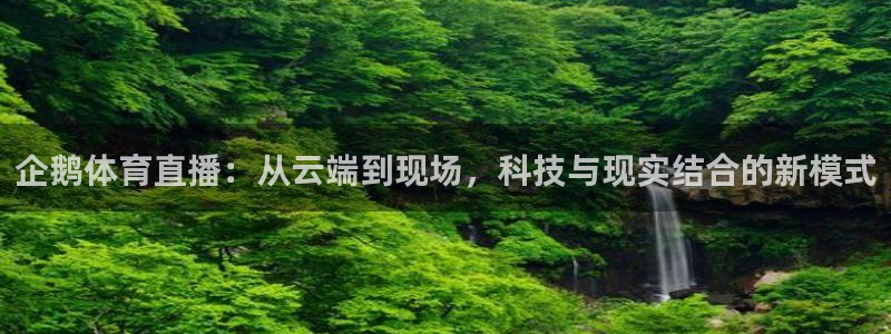 火凤足球比赛直播：企鹅体育直播：从云端到现场，科技与现实结合的新模式
