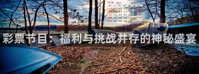 火凤足球直播免费观看：彩票节目：福利与挑战并存的神秘盛宴
