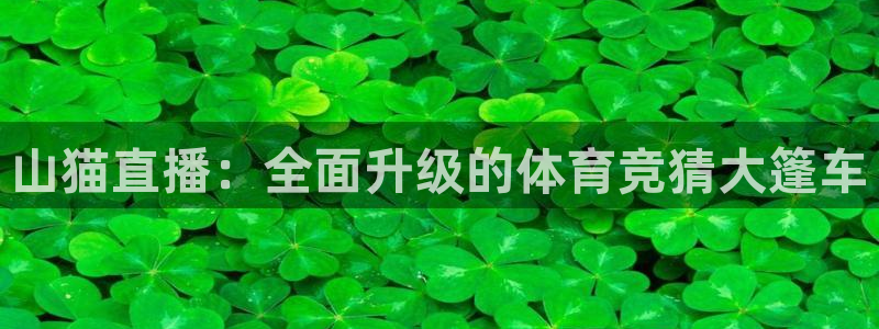 火凤体育直播免费比赛：山猫直播：全面升级的体育竞猜大篷车