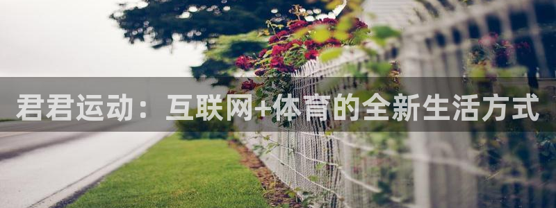 火凤直播篮球免费观看：君君运动：互联网+体育的全新生活方式