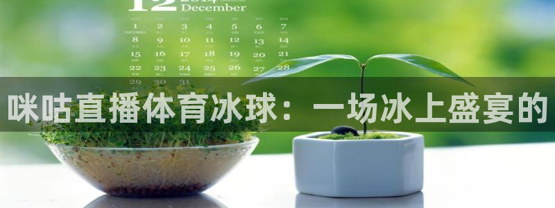 火凤足球比赛直播：咪咕直播体育冰球：一场冰上盛宴的