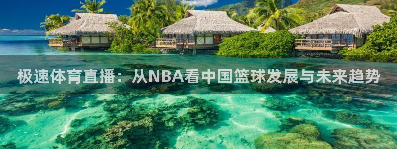 火凤斗球直播体育
