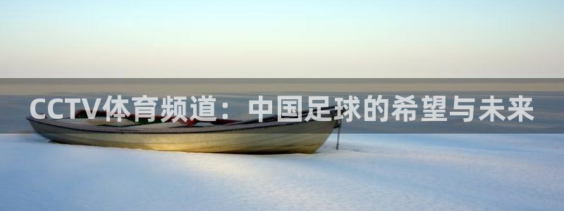 火凤直播足球赛免费视频