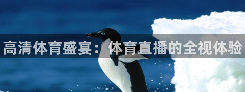 火凤体育：高清体育盛宴：体育直播的全视体验